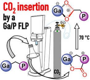 Graphical Abstract